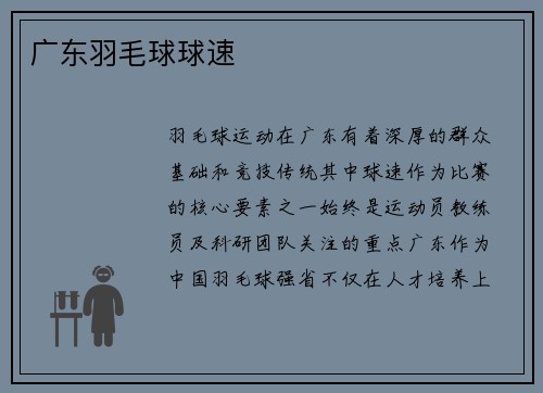 广东羽毛球球速